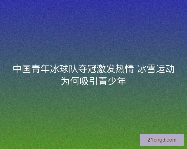 中国青年冰球队夺冠激发热情 冰雪运动为何吸引青少年