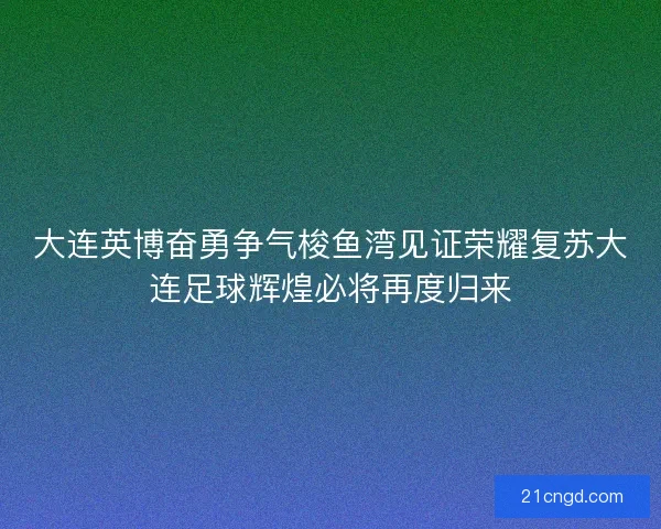 大连英博奋勇争气梭鱼湾见证荣耀复苏大连足球辉煌必将再度归来